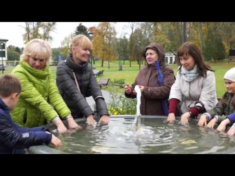 Video: Kas yra edukacinis triažas?