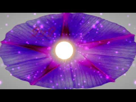 Meditación de Xan Lopez🎵🆓©️ Non Copyright Sound