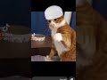مسلم قطه