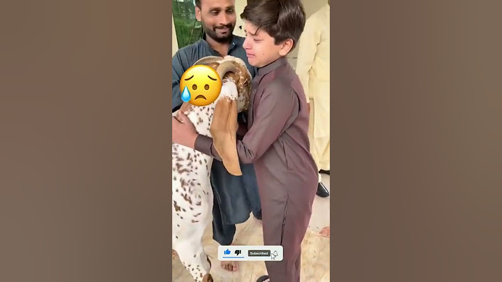 मालिक की जुदायी में बकरा कितना रोया इस vedio ने सबको रुला दिया 😥#shorts