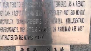 Chinese Zodiac Dragon - Ken Zen Lee