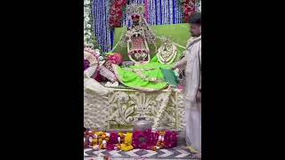 राधावल्लभ श्री हरिवंश 🦚❤️#trending#vrindavan #laddugopal#barsana #commentbelow#comedy #krishnastatus