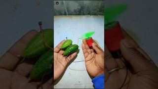 Mini Motor No Electric But Powerful Bijali King Size