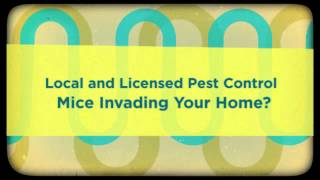 Pest Control Beverly Hills CA-(888) 458-0008