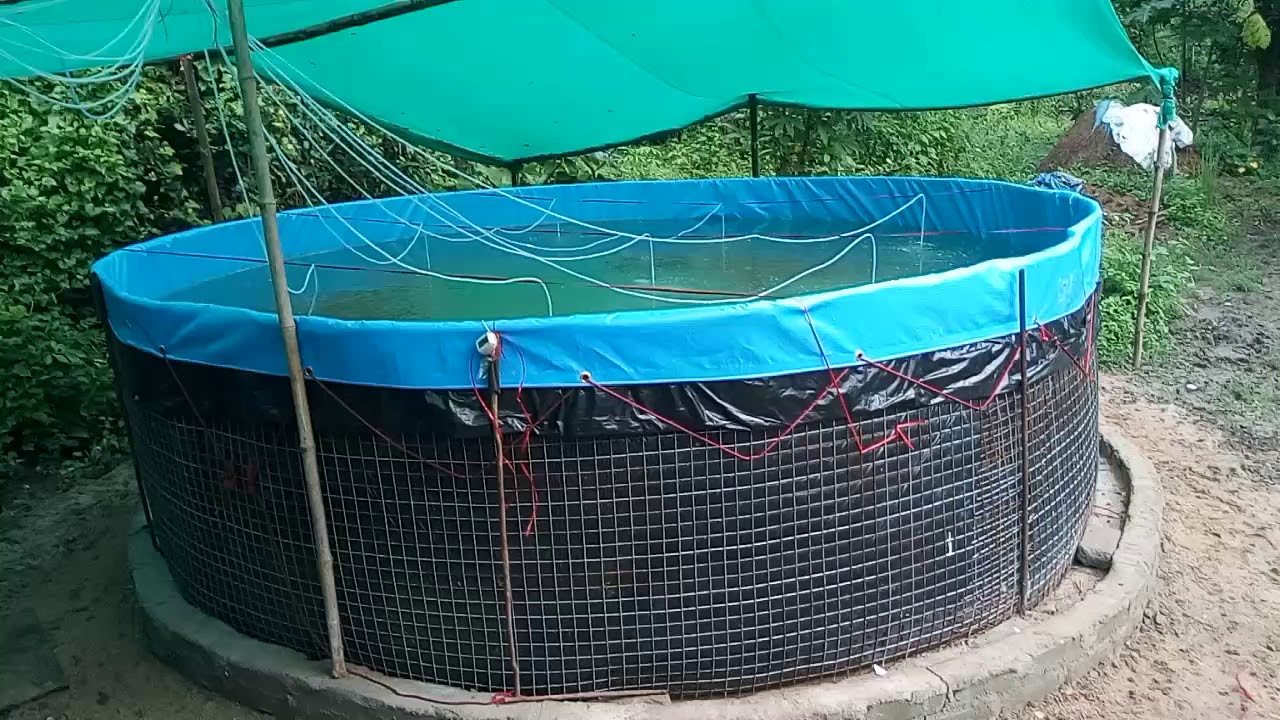 Magurgadia bio floc fish farming. YouTube