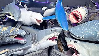 200 Sharks, Whales & Dolphins - Great White Shark, Whale Shark, Hammerhead Shark, Tiger Shark