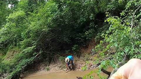 Hunting for Wild clay