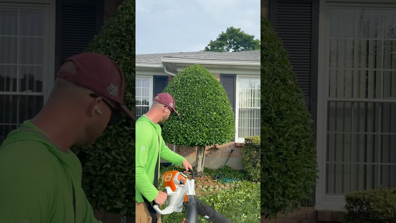 Sculpting the greenery with my ​⁠