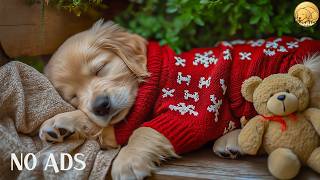 12 HOURS of Dog Calming Music 🐶🌸 Soft Sleep Assistance 🎶 Ease Stress & Support Relaxation 💤 No Ads screenshot 2