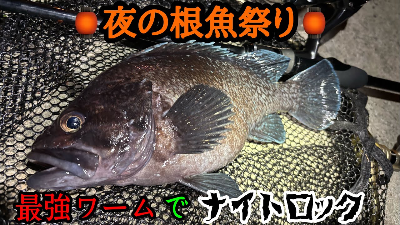 【岩手県　ナイトロック】禁断のワームで釣りしたら根魚が爆釣した‼️