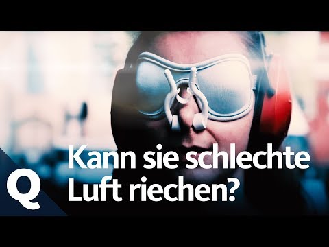 Luft-Experiment: Erkennen wir Luftqualität am Geruch? | Quarks