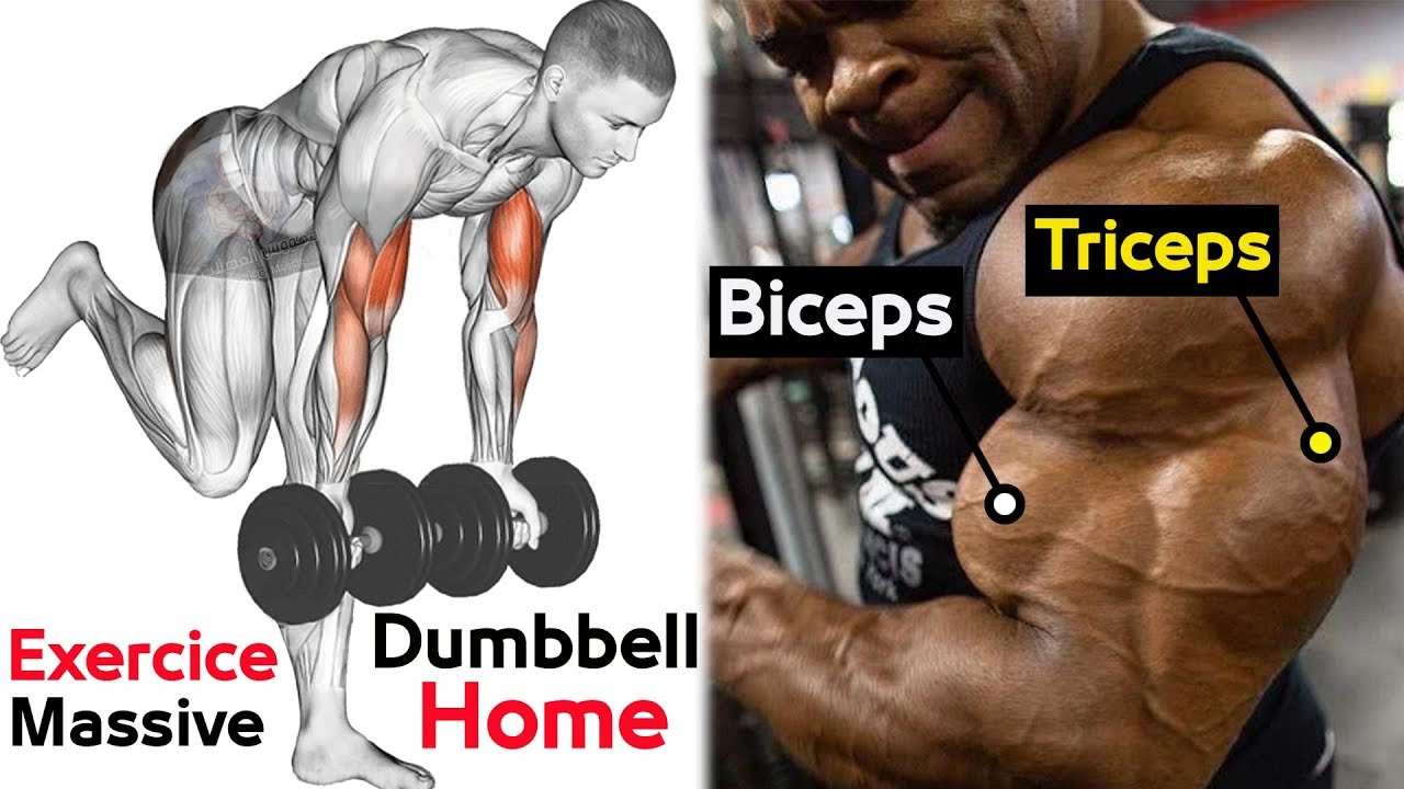 Exercises & Secrets That Build Up Your BICEPS & TRICEPS In One Month: (with  Tips, Diets and Workout Images): Harvey, Brian: 9798845693501: Books 