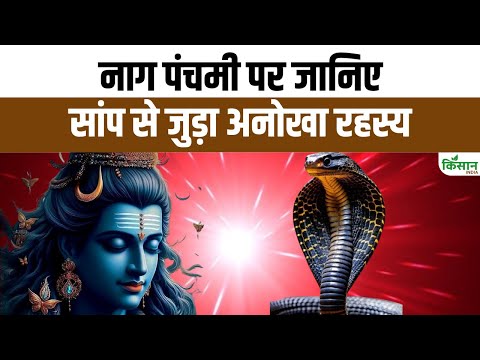 सुरों की मलिका, मालिनी अवस्थी ने Nag Panchami पर बताई सांपों की कहानी | Malini Awasthi | Folk Music