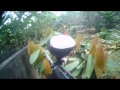 Practica de Paintball en El Carmen Manabí Ecuador