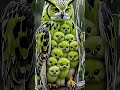 Owls green animal #foryou #animals #shortvideo #birds #foryou #shortvideo #rain #snow #baby #ice Mp3 Song