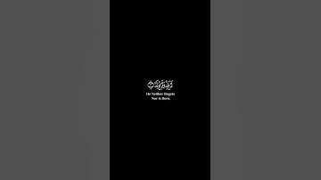 سورة الإخلاص كاملة | القرآن الكريم | القارئ ماهر المعيقلي | كروما
