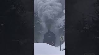 STEAM TRAIN ON SNOW screenshot 4