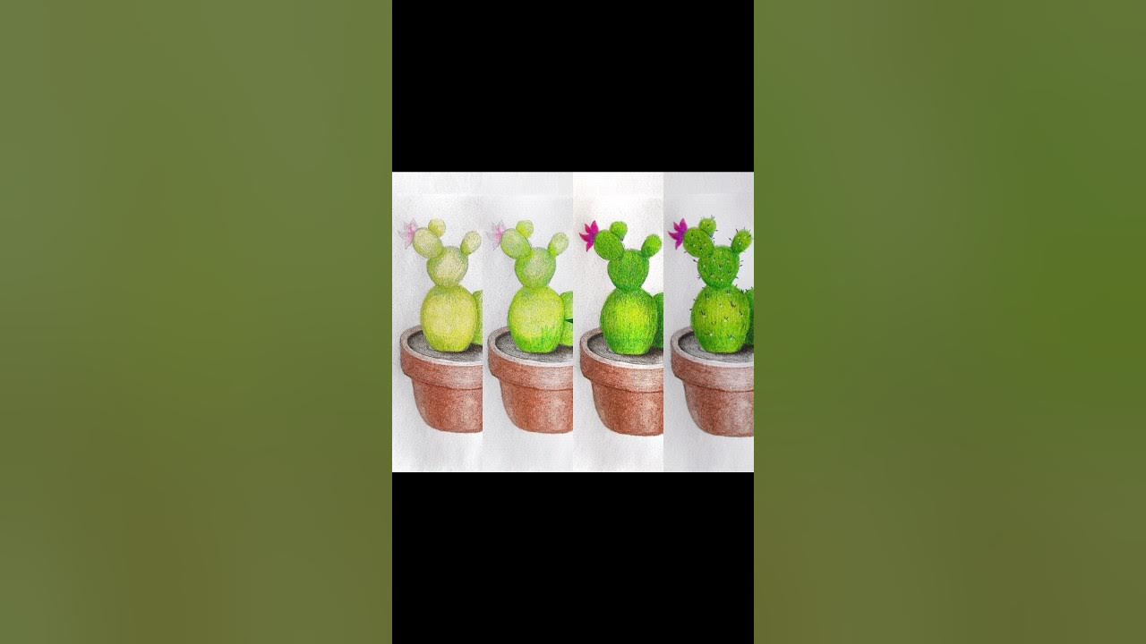 Малюємо кактус 🌵 поетапно кольоровими олівцями - YouTube