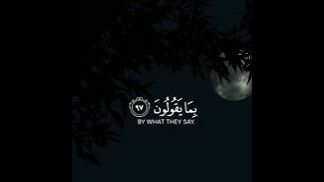 قرآن كريم بصوت القارئ انس الشافعى ☺️ ارح قلبك وسمعك