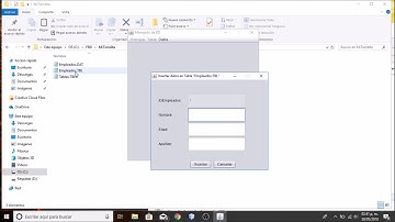 Crear Gestor de Bases de Datos con JAVA NETBEANS