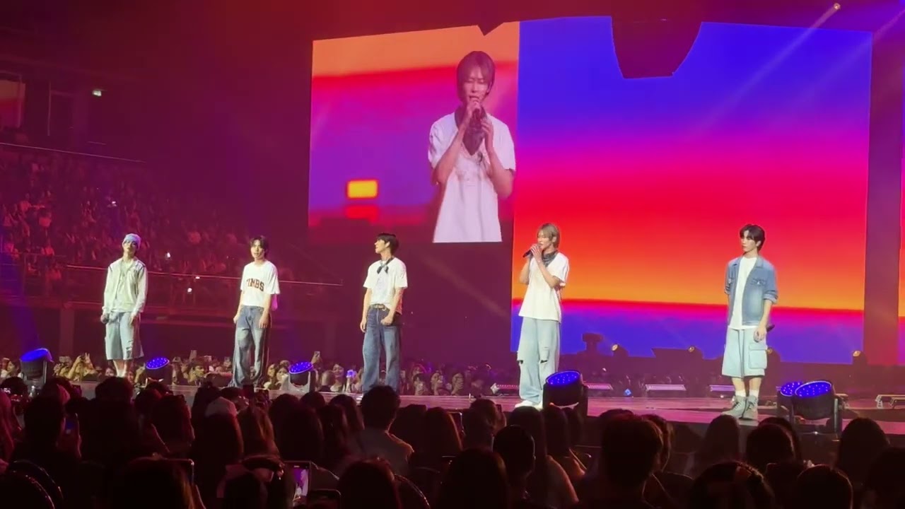 Sunset : POW | RABBIT TO THE MOON 2025