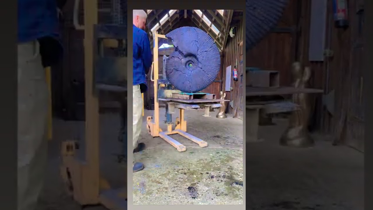 Ammonite Jurassic Cracked 2018