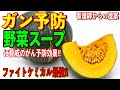 【衝撃】野菜スープでガン予防‼︎「ファイトケミカル最強！！」看護師からの提案！【雑パラ】