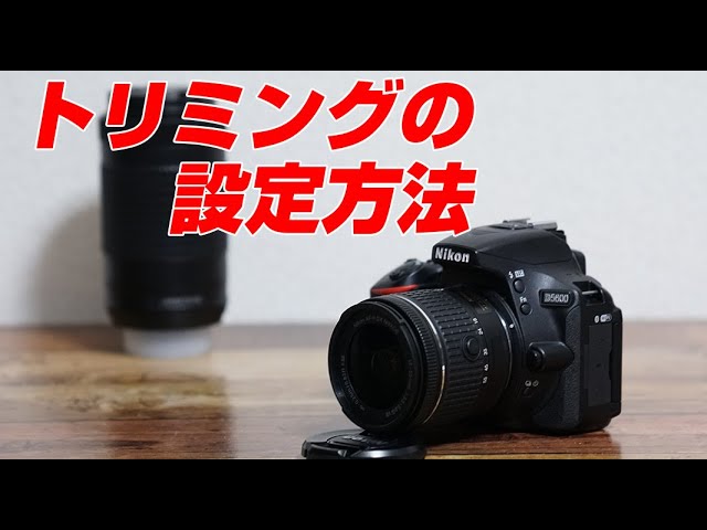 NIKON d5600 isoをオートで撮影する方法 - YouTube