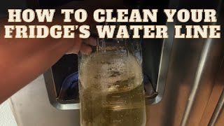 How To Clean Your Refrigerator’s Water Dispenser Line  Quick & Easy No Complicated Tools Needed