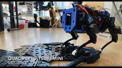 Quadruped Robot Tsuki Mini obstacles test