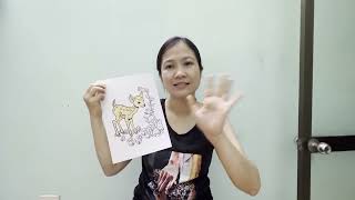 Hand-colored by me! Instructions for coloring a deer with forest flowers and birds Part 1 by Cậu Vàng Làm Memes 135,681 views 2 weeks ago 3 minutes, 11 seconds