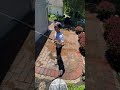 House wash soft wash and paver patio cleaning
