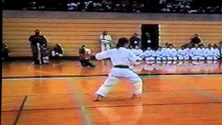 International Joshinmon Karate Do Championship 2004