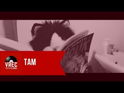 🔴 TOMMASO TAM / 11 (Official Video)