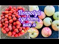 Вкуснейшее варенье из алычи с особенным секретом 👍💥/ Бесподобный яблочный мусс / Мой пробный день