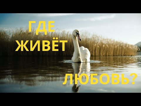 Парк любви Михалины Вислоцкой в Любневице