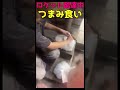 配達中につまみ食い