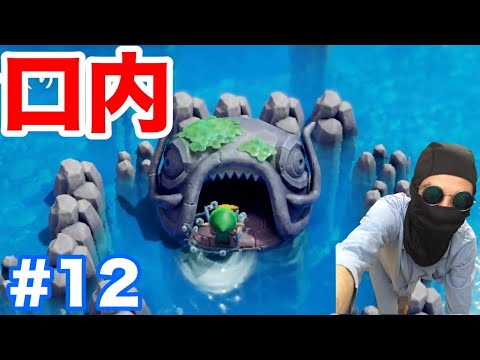 ＃12【ゼルダの伝説 夢を見る島(Switch)】ゲームでありがちな魚の口内を探検します！【最新作を味わう】