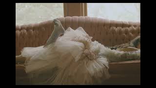 Lost and Found- Senior thesis collection film