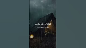 القارئ: المنشاوي - سورة النحل - ولا تقولوا لما تصف ألسنتكم الكذب