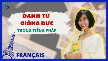NHẬN BIẾT DANH TỪ GIỐNG ĐỰC TRONG TIẾNG PHÁP | CÔ MY GGV
