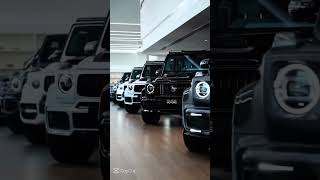 BMW or Gelik