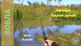 Русская рыбалка 4 - река Ахтуба - Вобла в протоке