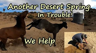 We Get Water From Stubborn Ancient Spring For Wild Horses in the Nevada Desert Want to Help? WATCH! We Get Water From Stubborn Ancient Spring For Wild Horses in the Nevada Desert Want to Help? WATCH!