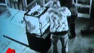 Celebrity Thieves Find Boris the Python Too Hot to Handle Profile