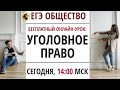 УГОЛОВНОЕ ПРАВО ДЛЯ ЕГЭ ПО ОБЩЕСТВУ