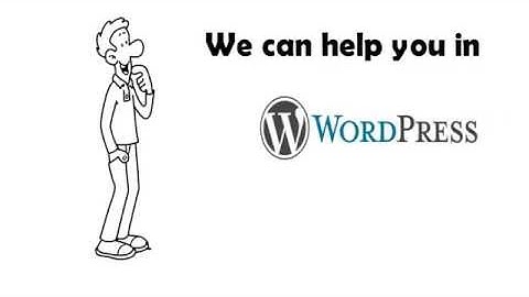 Techsol WordPress services
