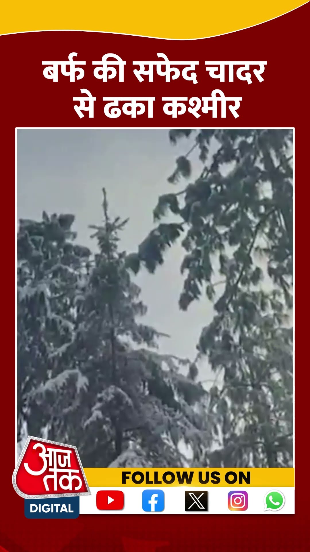 बर्फ की सफेद चादर से ढका Jammu Kashmir #shorts #shortsvideo #jammukashmir #snowfall