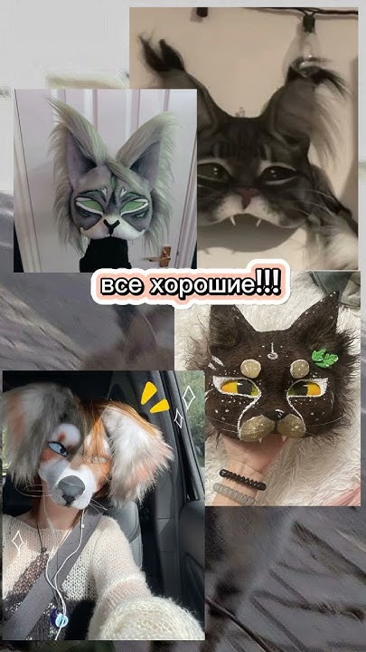 сходка квд #квд #memes #прикол #подпишись - YouTube