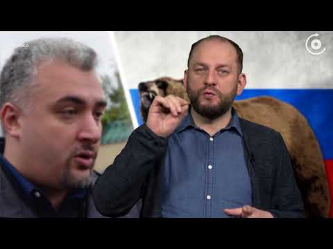 ნატურალის წერილები - წერილი პარლამენტის ვიცე-სპიკერს